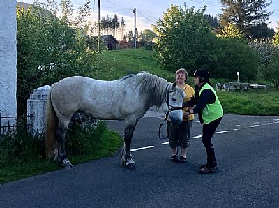 horse trekking in argyll, scotland