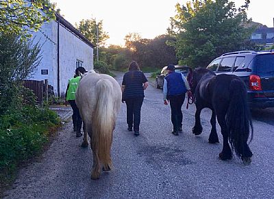 horse riding in argyll