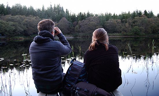 argyll beavers