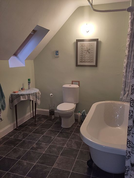 ensuite bathroom at crown house bed and breakfast